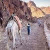 « Ton errance te fonde ». Descente du Djebel Mussa, péninsule du Sinaï. @ Alexis Congourdeau