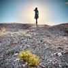 « Seconde chance » Sur les hauteurs de Qumran, Désert de Judée. @ Alexis Congourdeau